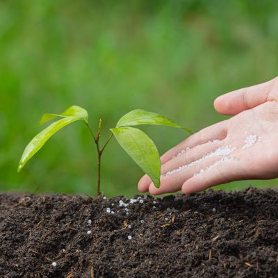 Research Ecology and The Environment